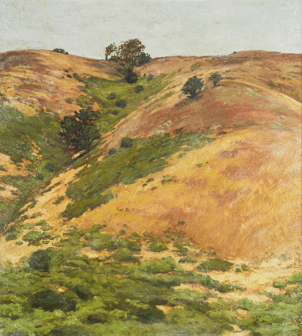 oil painting of hills covered with golden grass and green shrubbery